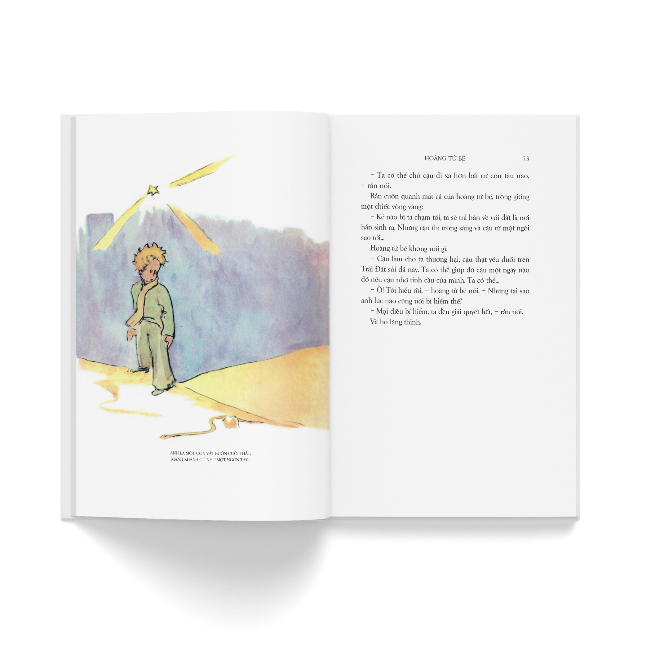 Hoàng Tử Bé - Với Minh Họa Của Chính Tác Giả - Bìa Vải - Ảnh 7