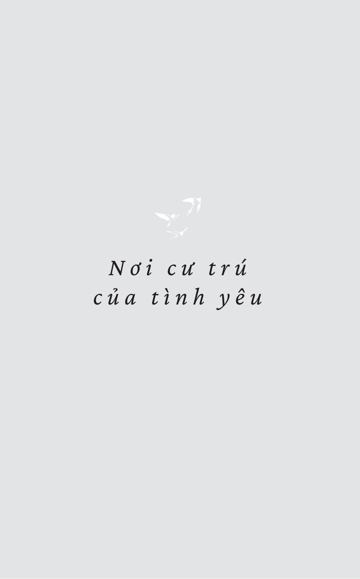 hồi âm từ phương nam - Ảnh 5