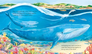 hope the whale - Ảnh 3