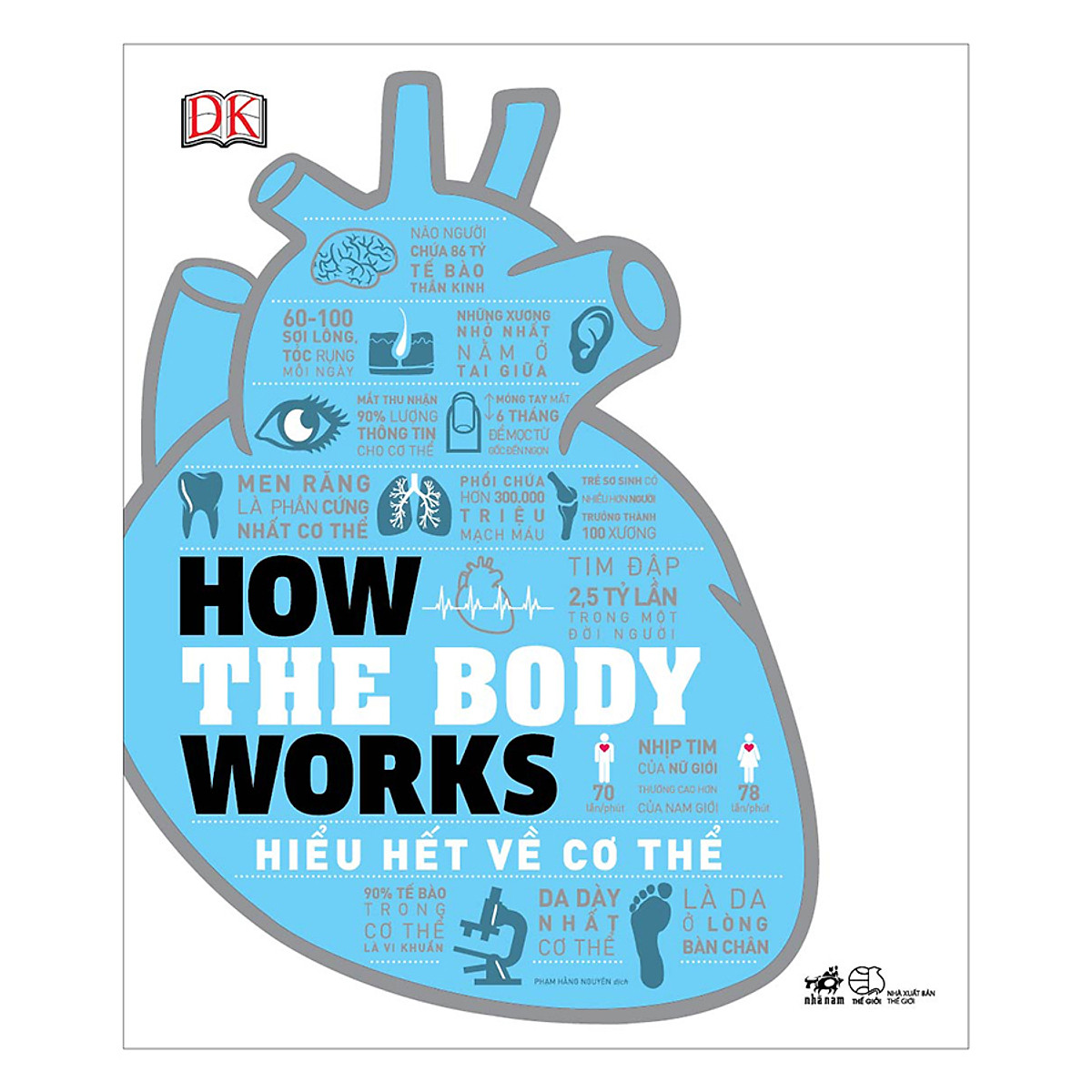 how the body works - hiểu hết về cơ thể - Ảnh 3