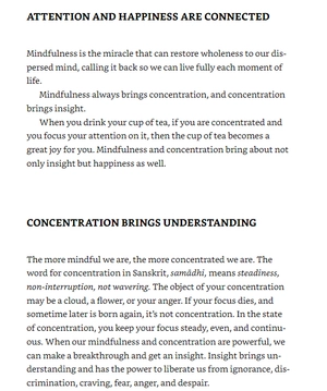 how to focus (mindfulness essentials) - Ảnh 5