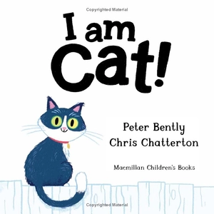 i am cat - Ảnh 4