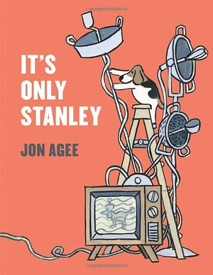 itℹs only stanley - Ảnh 2
