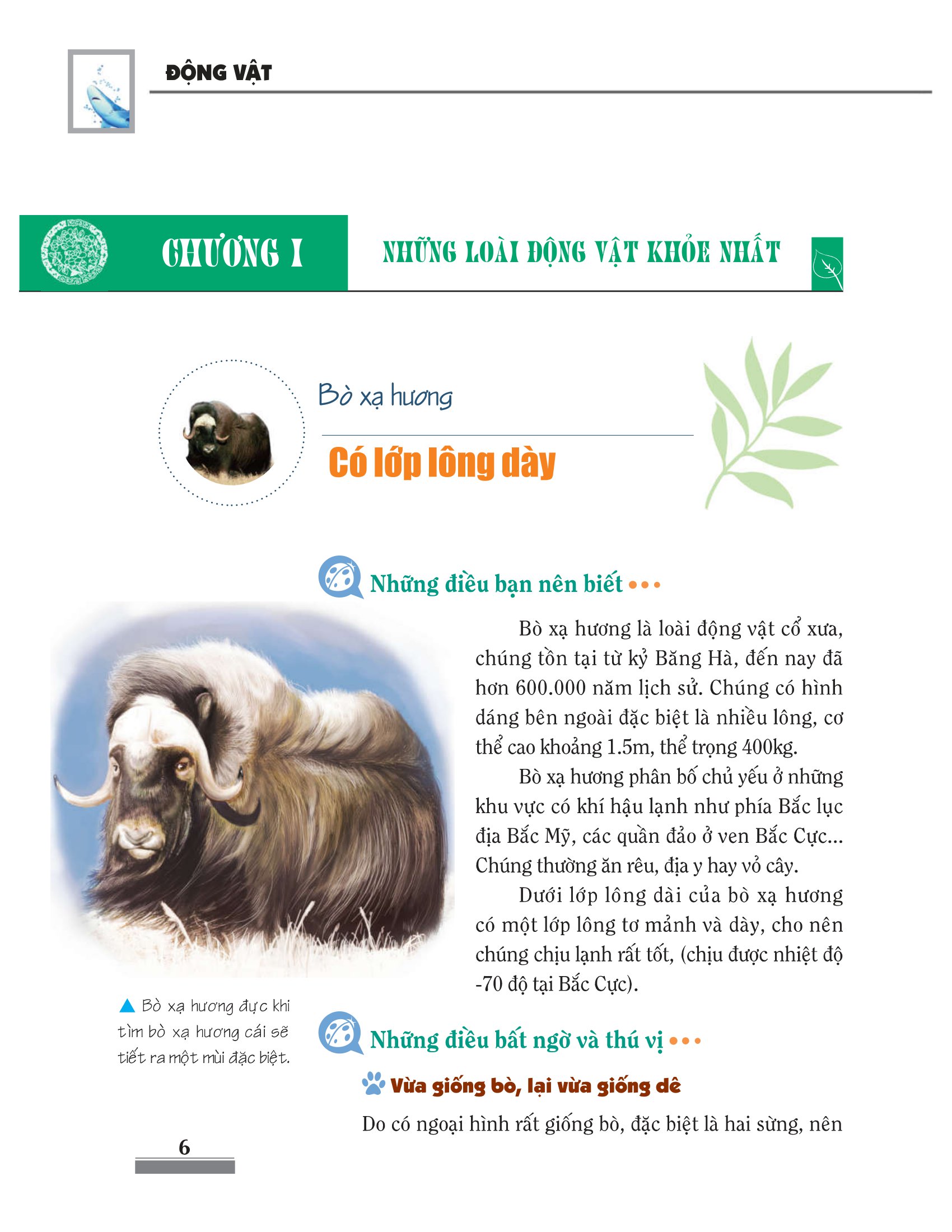 khám phá bí ẩn thế giới tự nhiên dành cho học sinh - động vật (tái bản 2023) - Ảnh 7