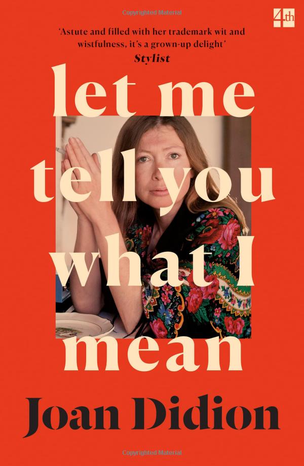 let me tell you what i mean - Ảnh 5