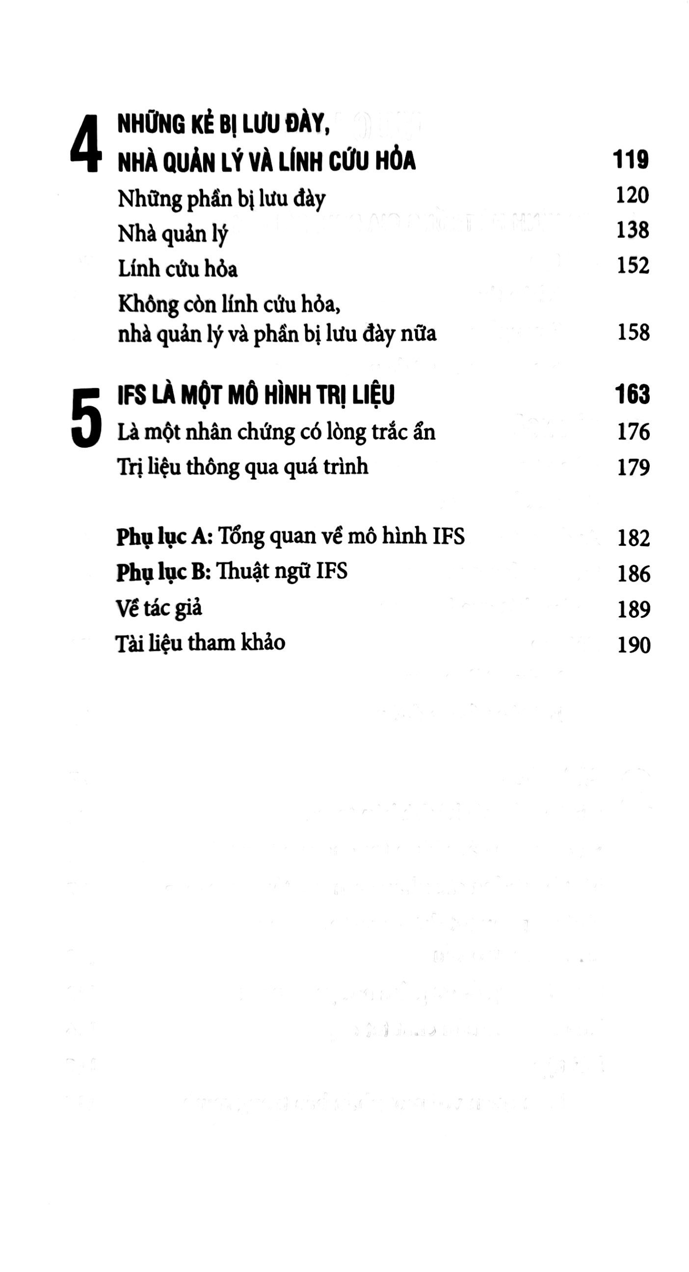 liệu pháp hệ thống gia đình nội tâm - Ảnh 6