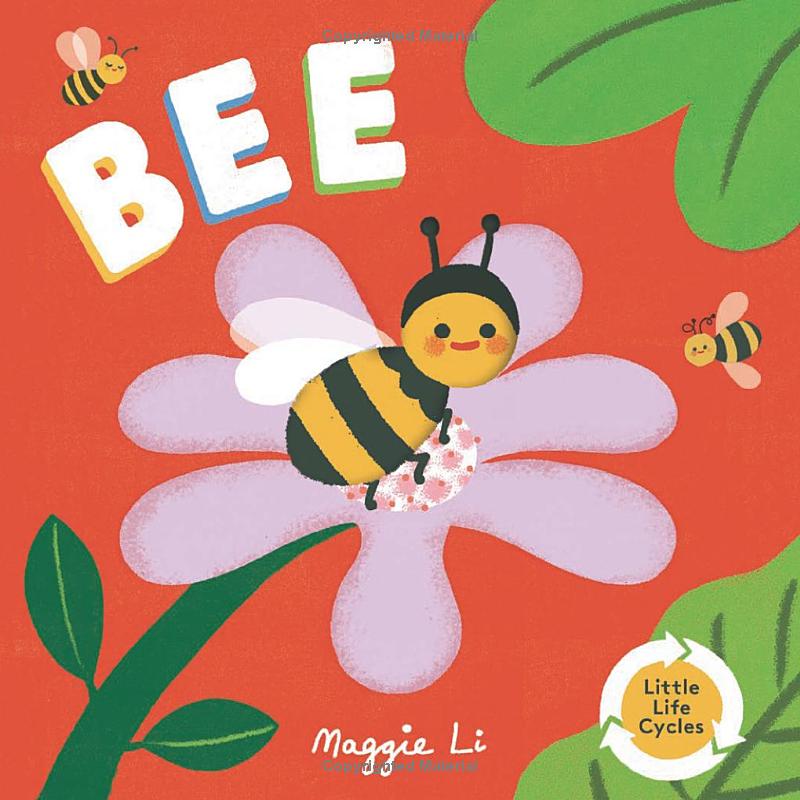 little life cycles - bee - Ảnh 2