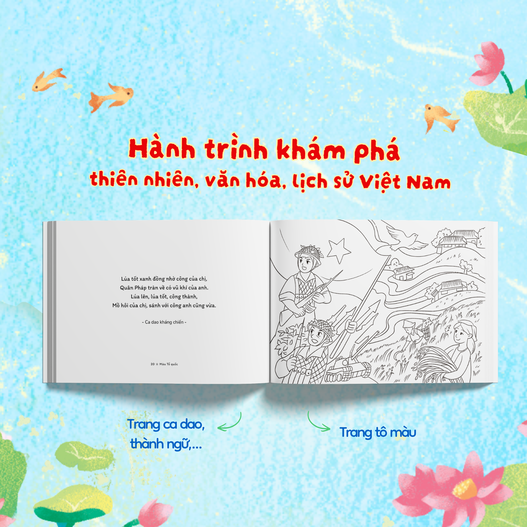 Màu Tổ Quốc - Ảnh 5