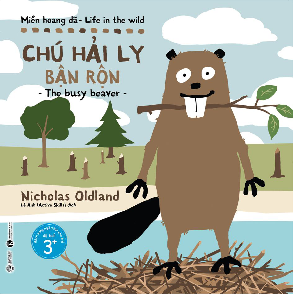 miền hoang dã - chú hải ly bận rộn - Ảnh 2