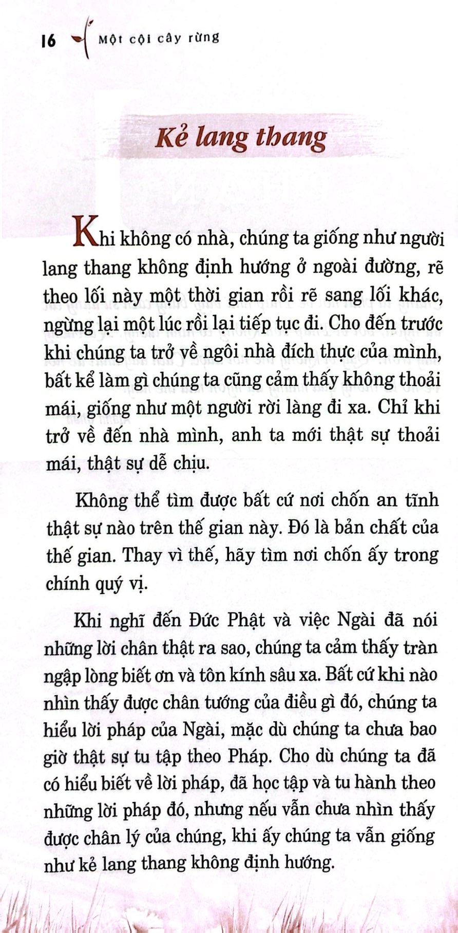 một cội cây rừng - những dụ ngôn của ngài ajahn chah (tái bản 2025) - Ảnh 4