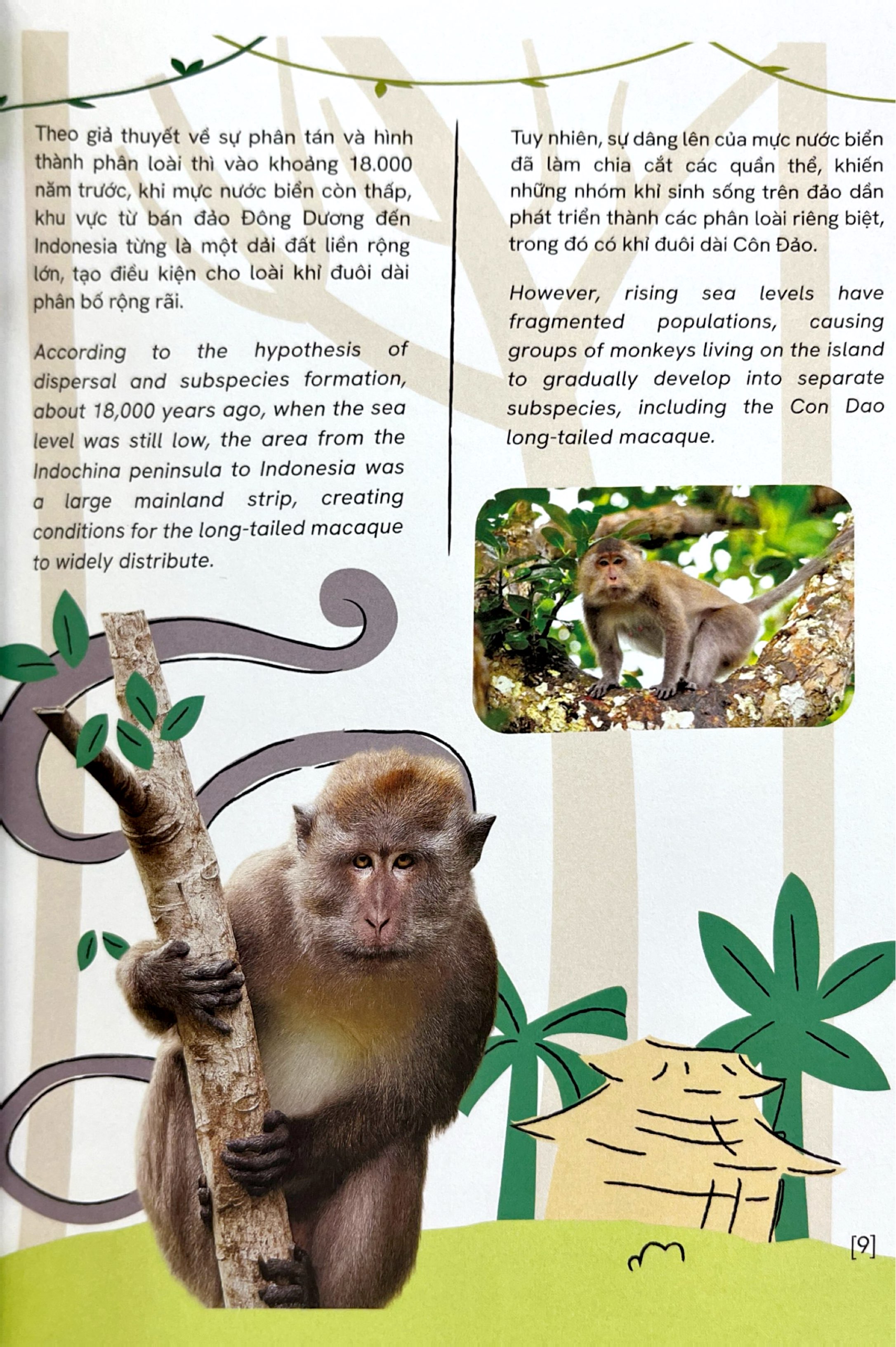 Một Số Loài Động Vật Đặc Hữu Và Bản Xứ Của Việt Nam - Endemic And Native Fauna Of Vietnam - Ảnh 8