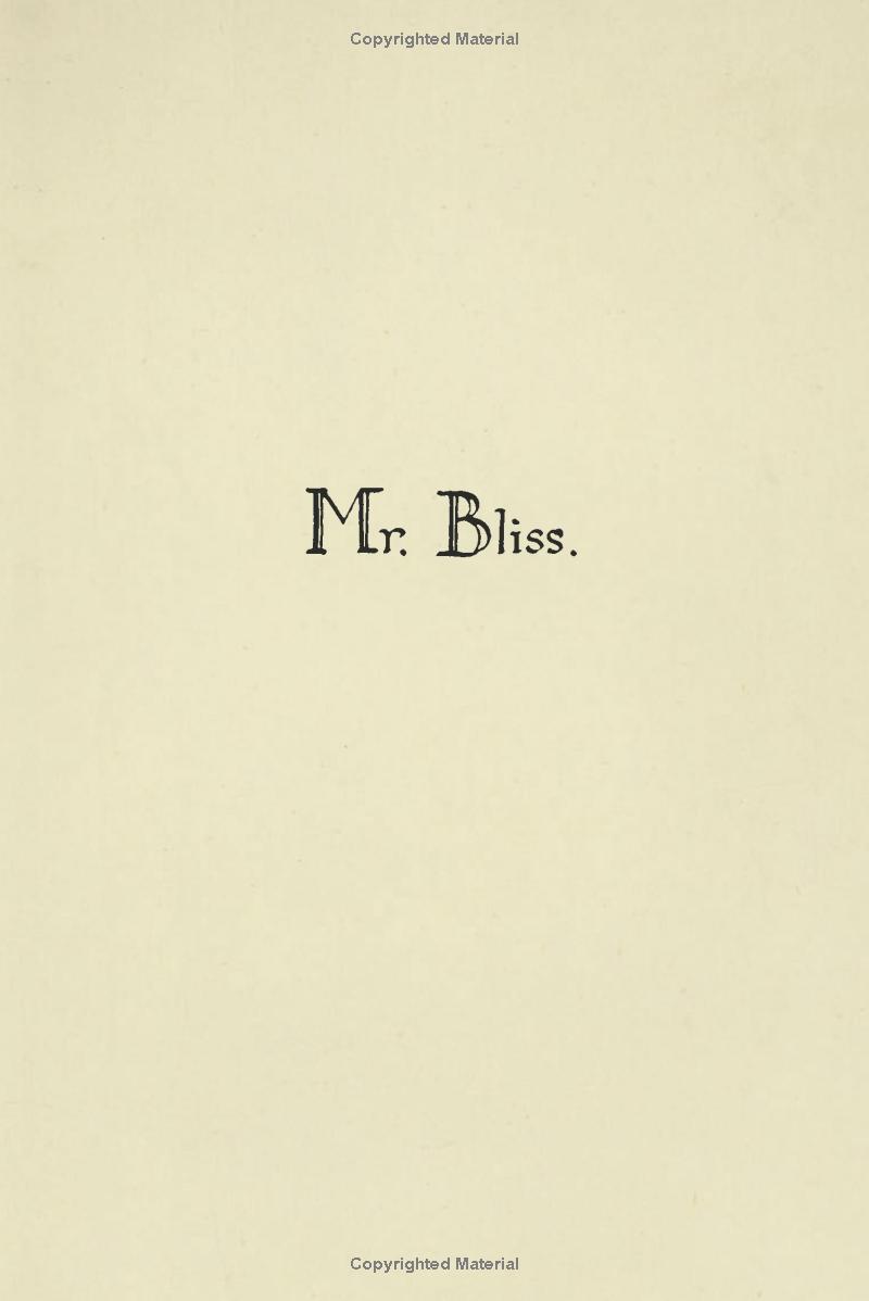 mr bliss - Ảnh 7
