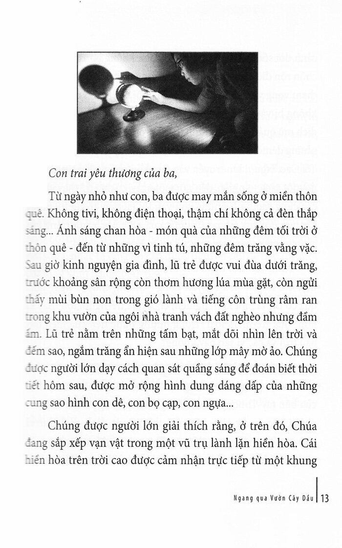 ngang qua vườn cây dầu - Ảnh 12