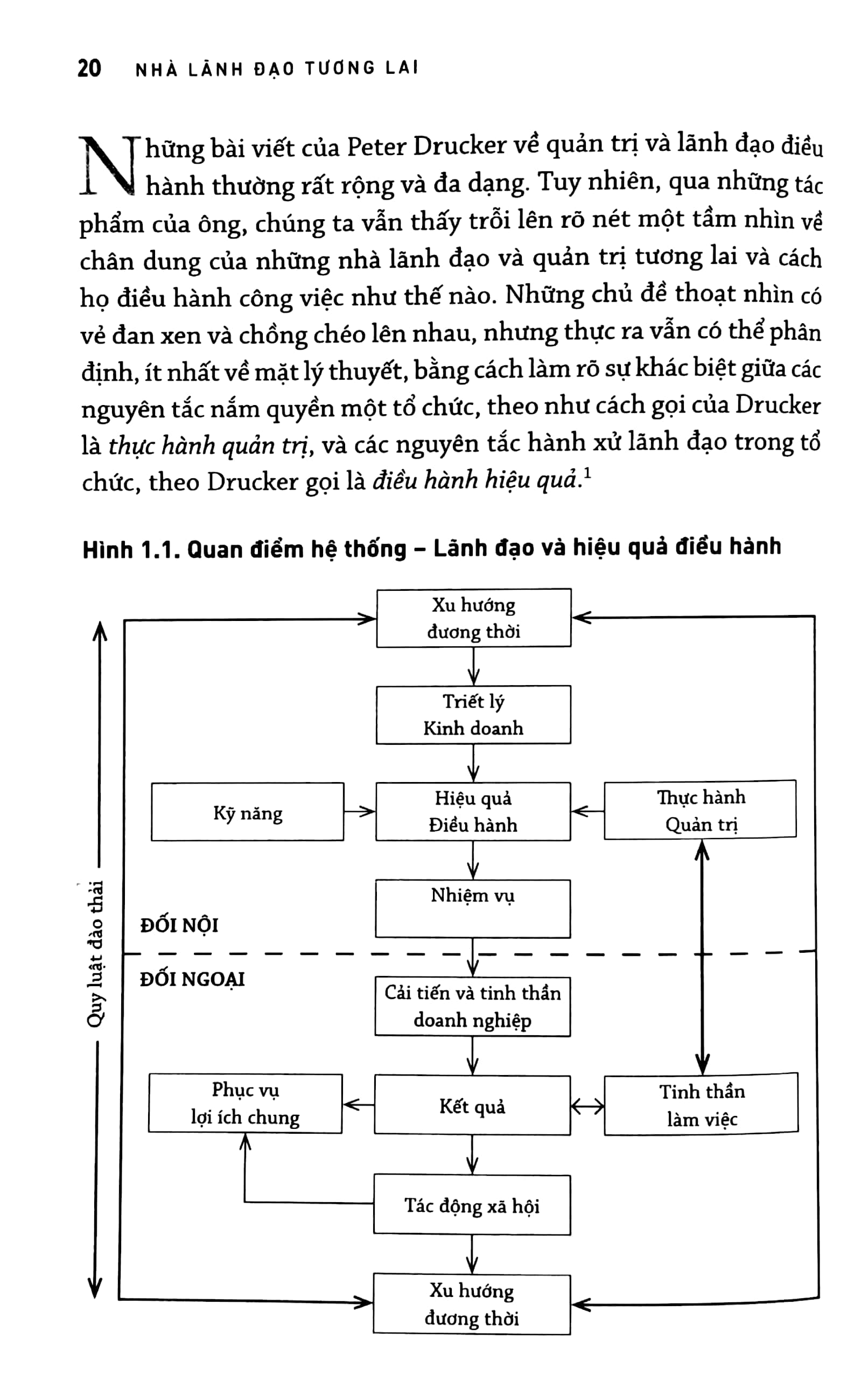 nhà lãnh đạo tương lai - Ảnh 8
