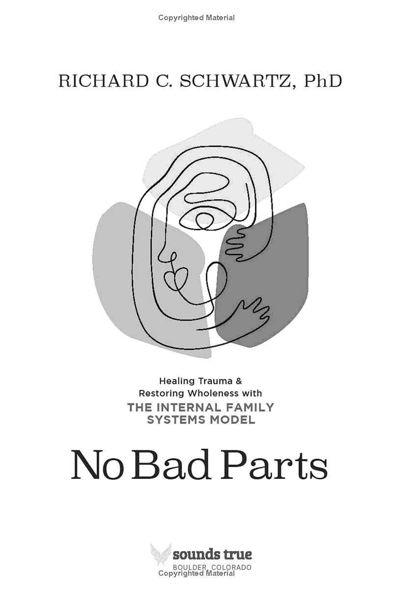 no bad parts: healing trauma and restoring wholeness with the internal family systems model - Ảnh 5