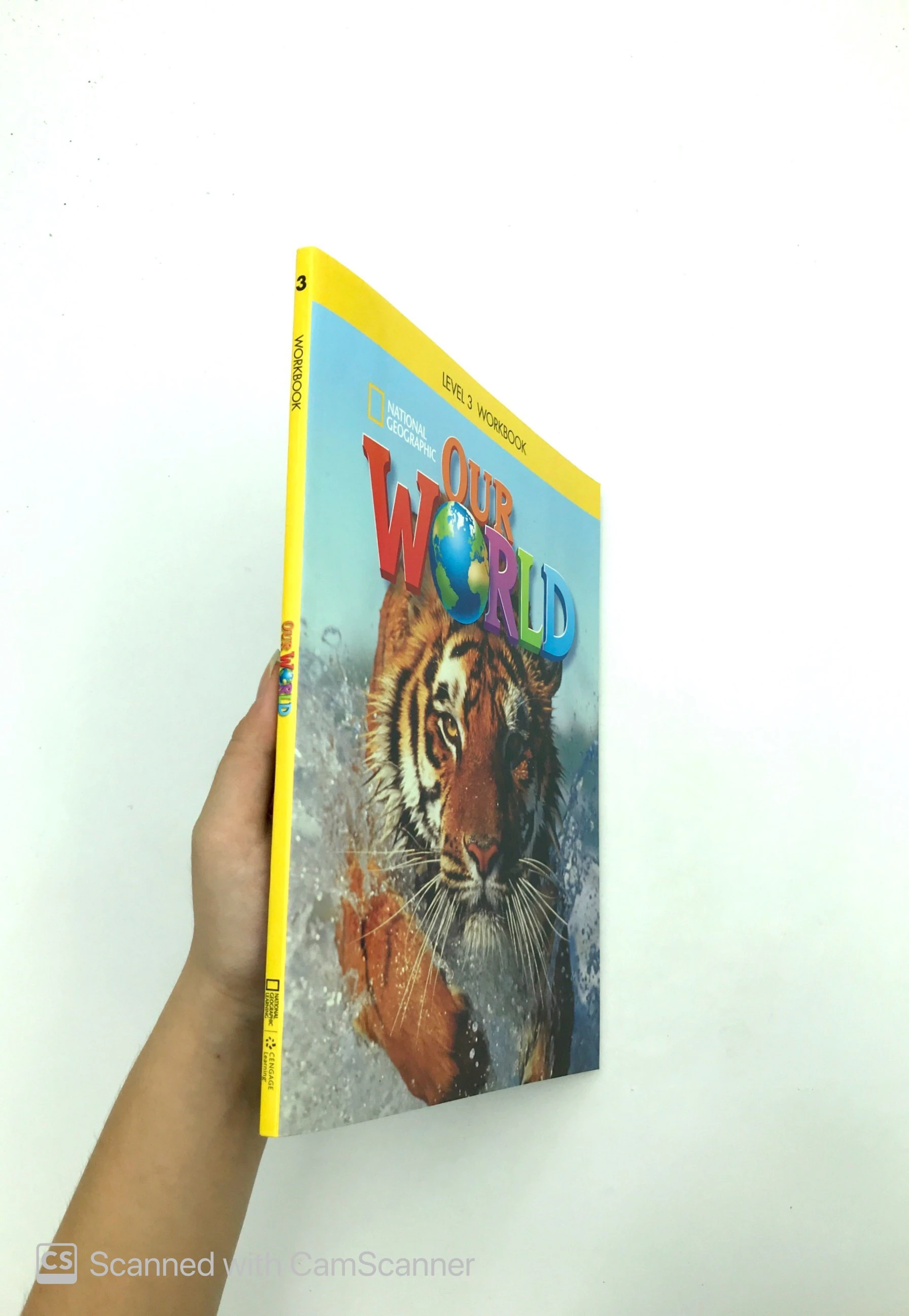 our world ame 3 workbook - Ảnh 12