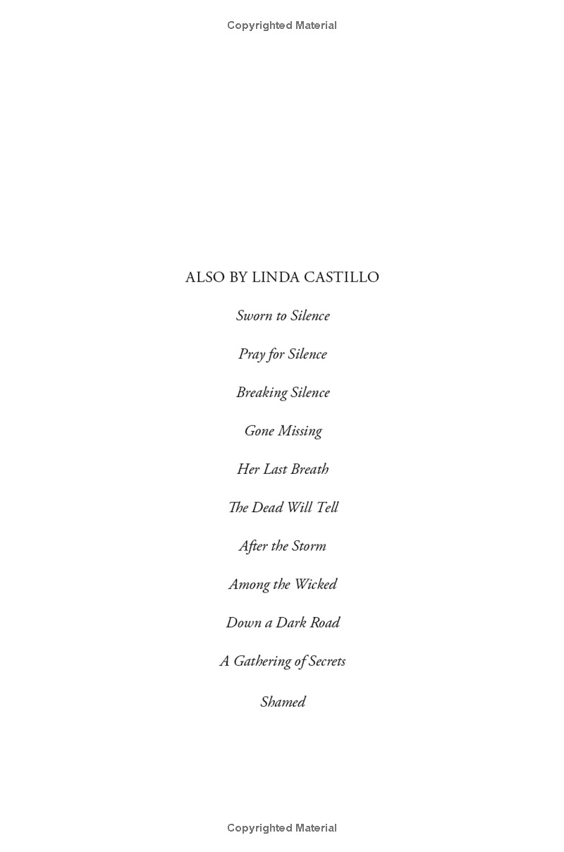 outsider: a novel of suspense - Ảnh 3