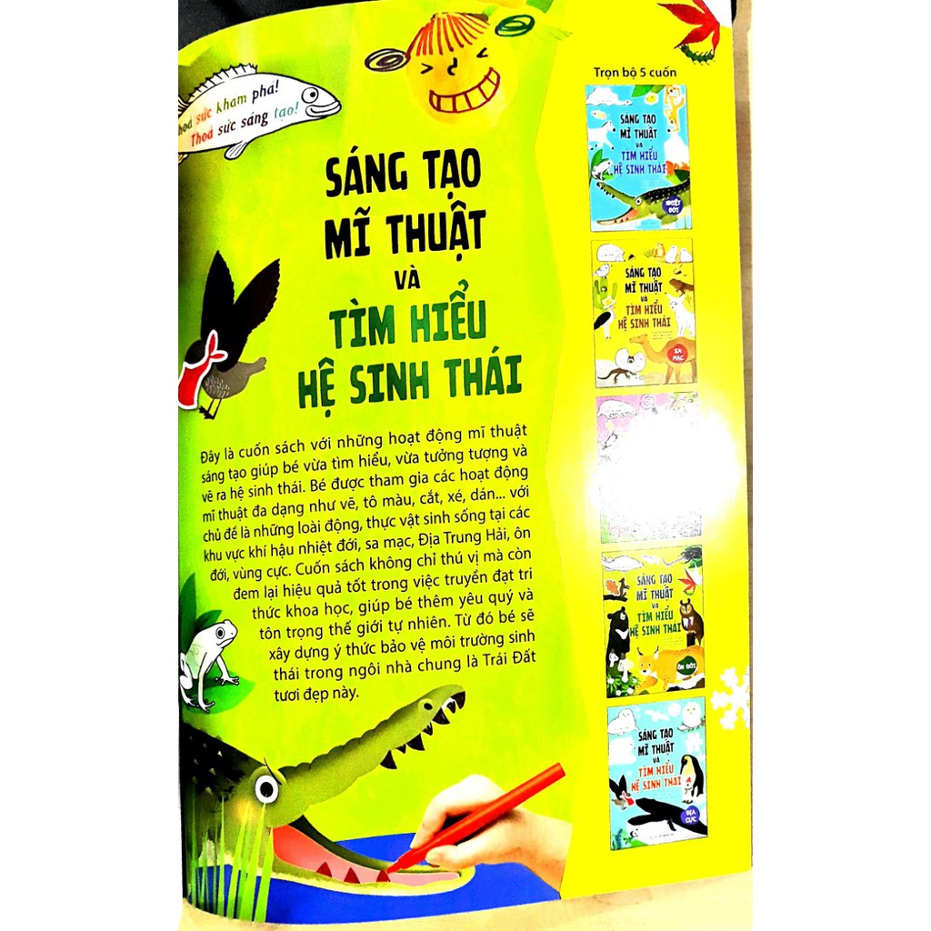 sáng tạo mĩ thuật và tìm hiểu hệ sinh thái: ôn đới - Ảnh 3