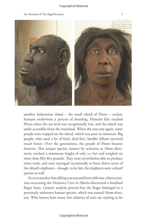 sapiens: a brief history of humankind: (patterns of life) - Ảnh 10