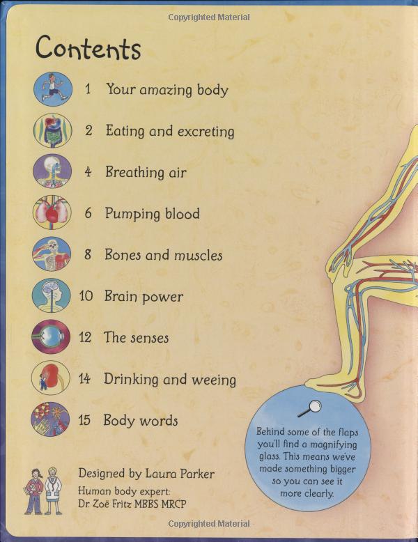 see inside your body - Ảnh 3