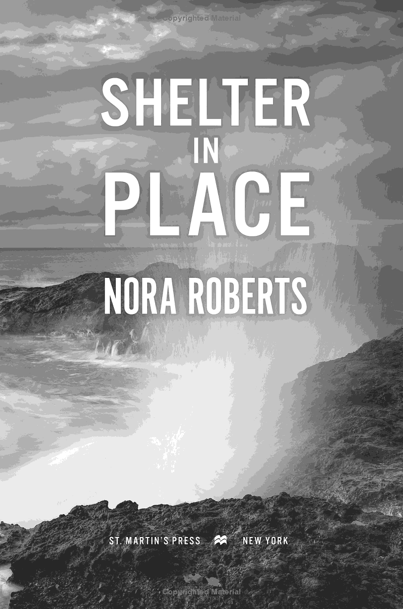 shelter in place - Ảnh 3