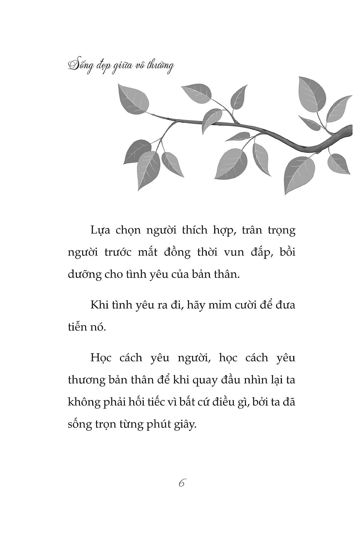 sống đẹp giữa vô thường - học cách yêu để không hối tiếc - Ảnh 3