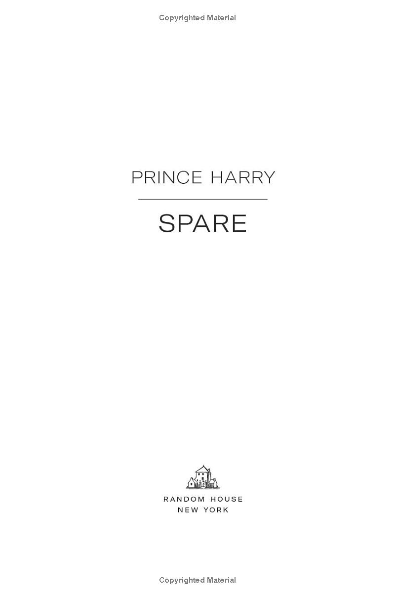 spare - Ảnh 4