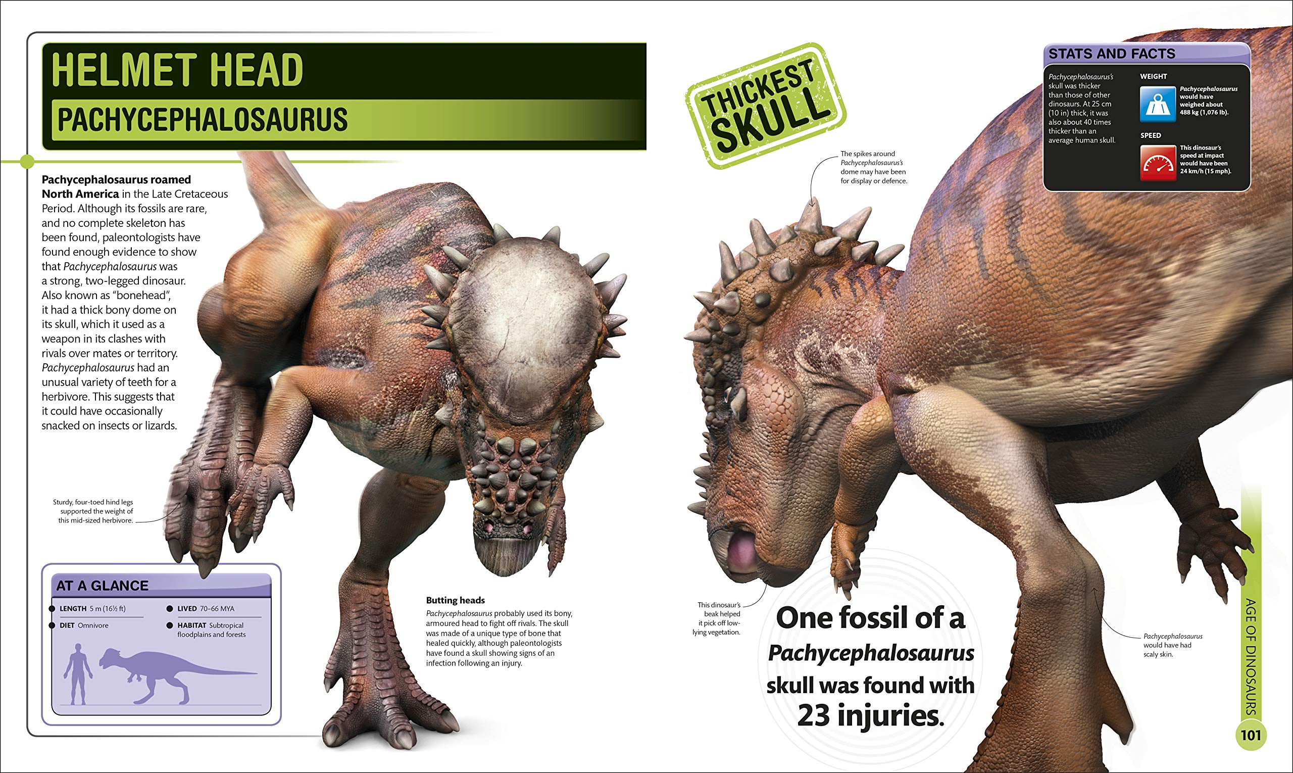 superdinosaur: the biggest, fastest, coolest prehistoric creatures - Ảnh 7