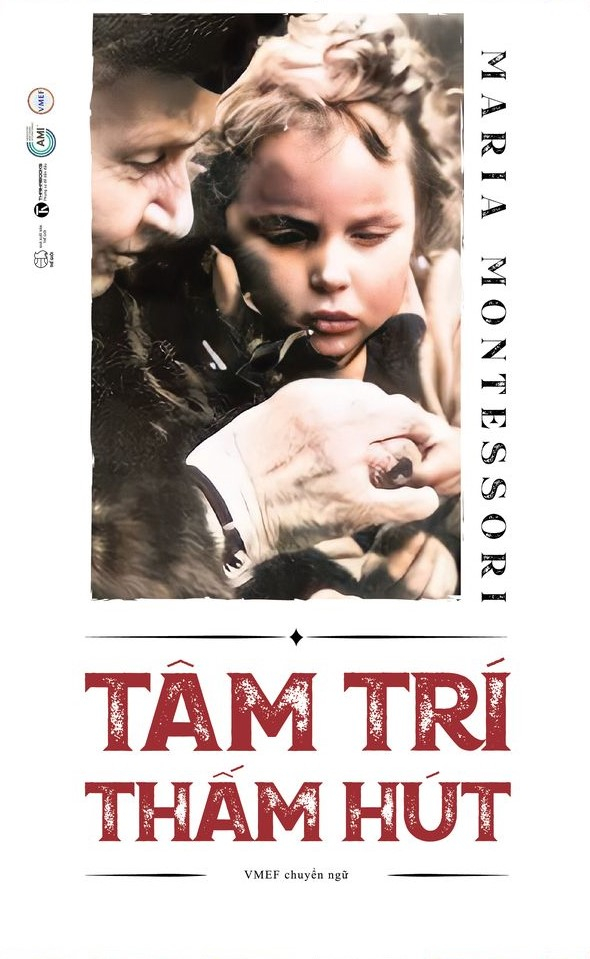 tâm trí thấm hút - Ảnh 2