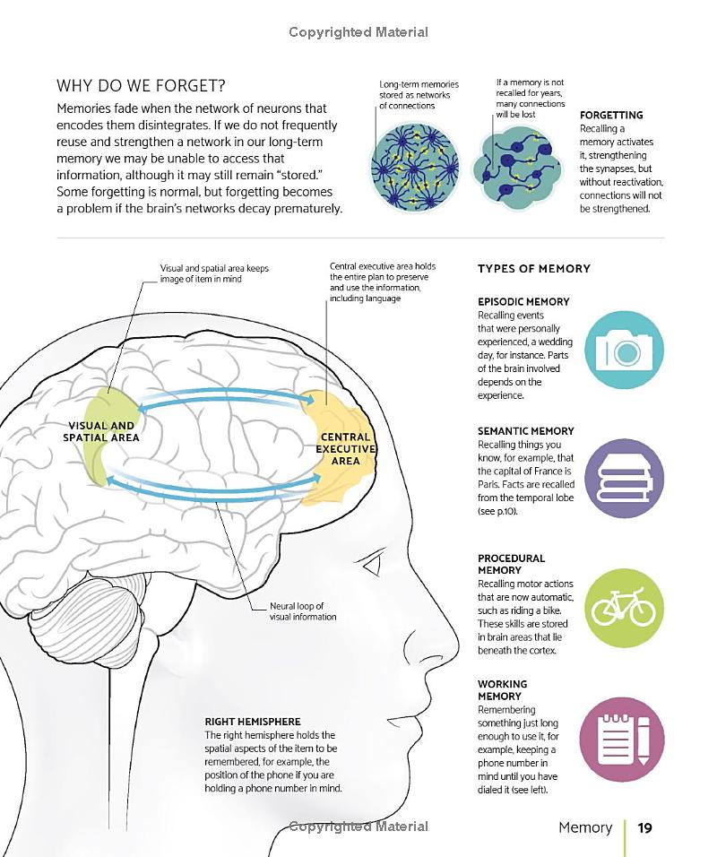 the brain fitness book: activities and puzzles to keep your mind active and healthy - Ảnh 10