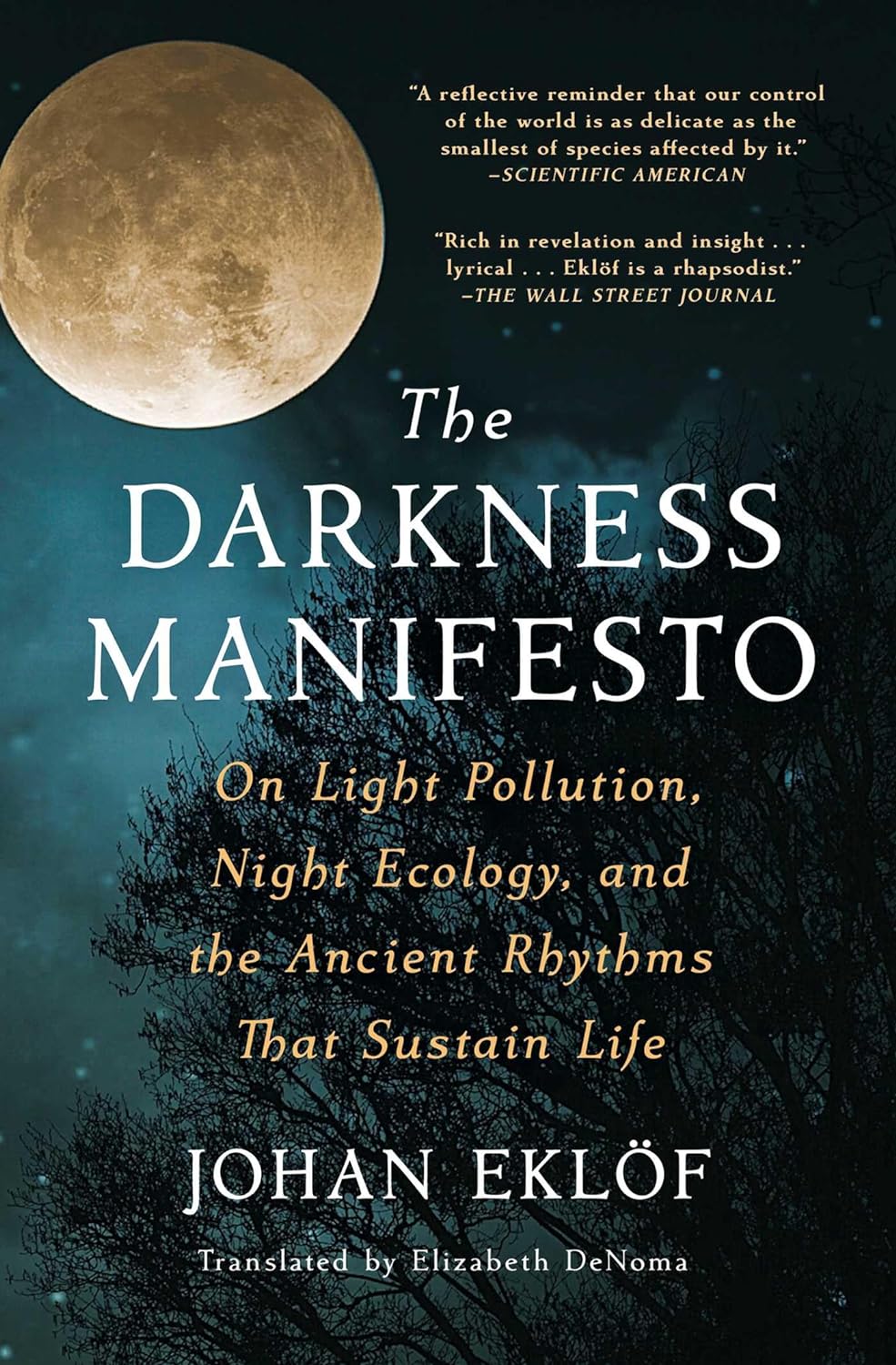 the darkness manifesto - Ảnh 2