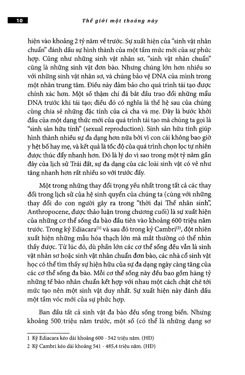 thế giới một thoáng này - Ảnh 29