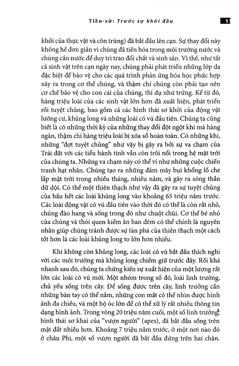 thế giới một thoáng này - Ảnh 31