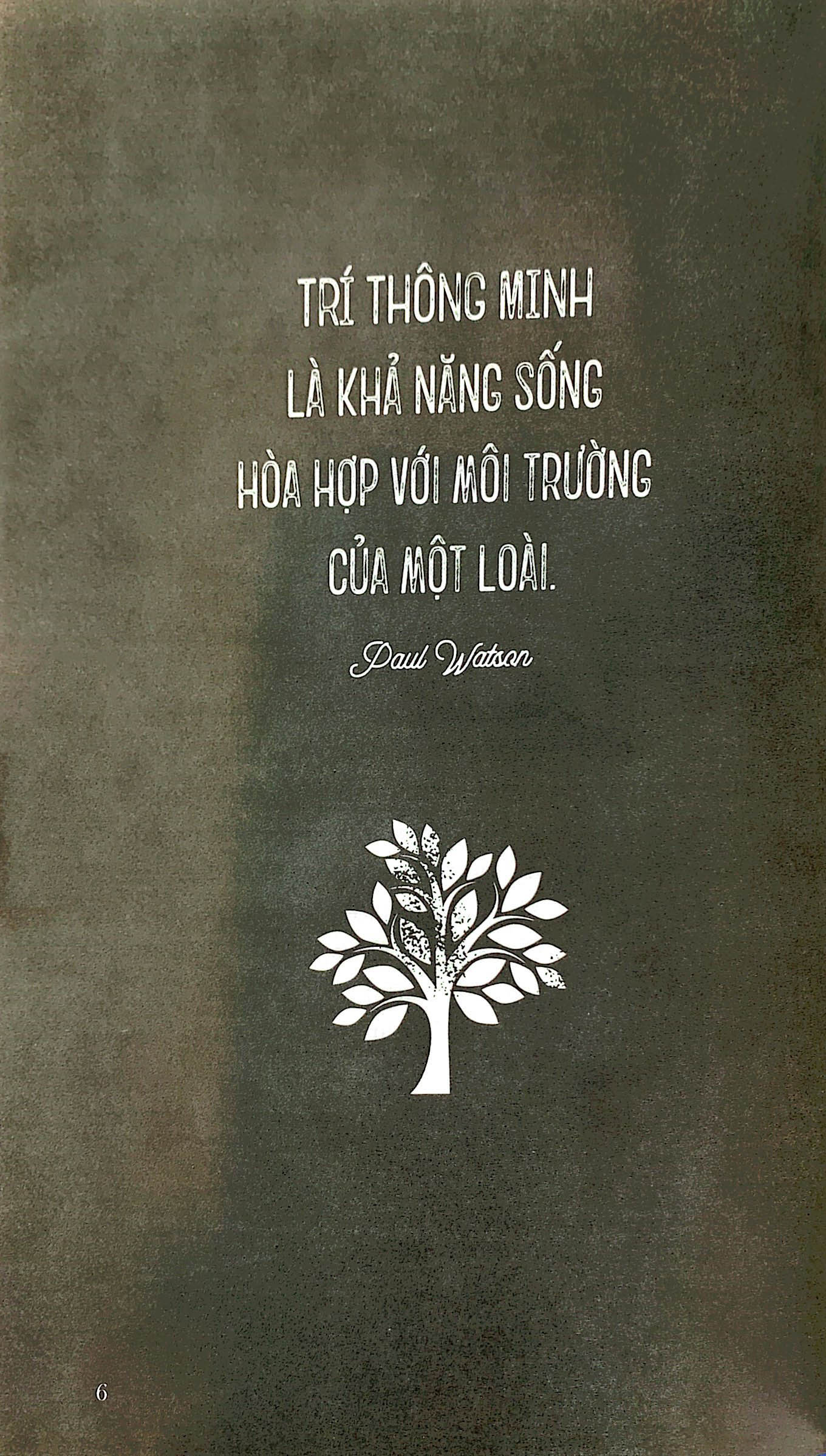 the little book of the veganism - chủ nghĩa thuần chay - Ảnh 5