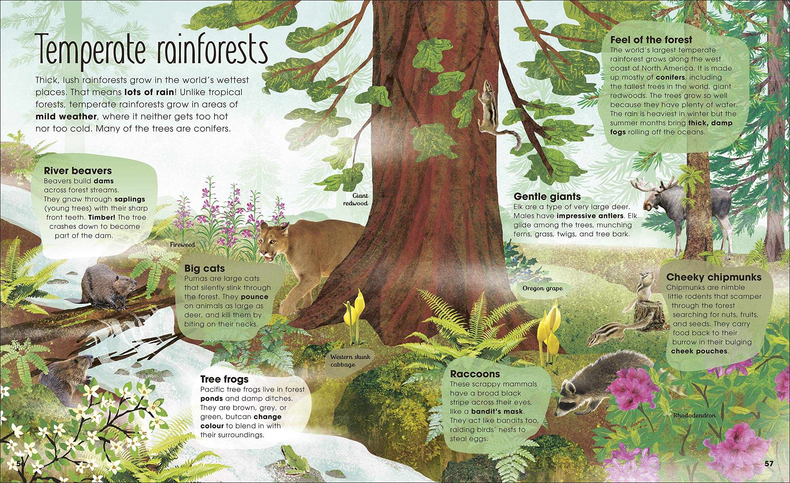 the magic and mystery of trees - Ảnh 6