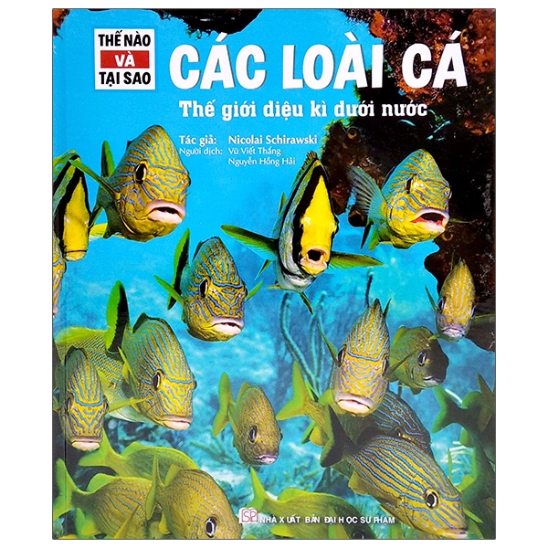 Thế Nào Và Tại Sao - Ai Cập Cổ Đại - Xác Ướp, Các Vị Thần Và Kim Tự Tháp - Ảnh 15