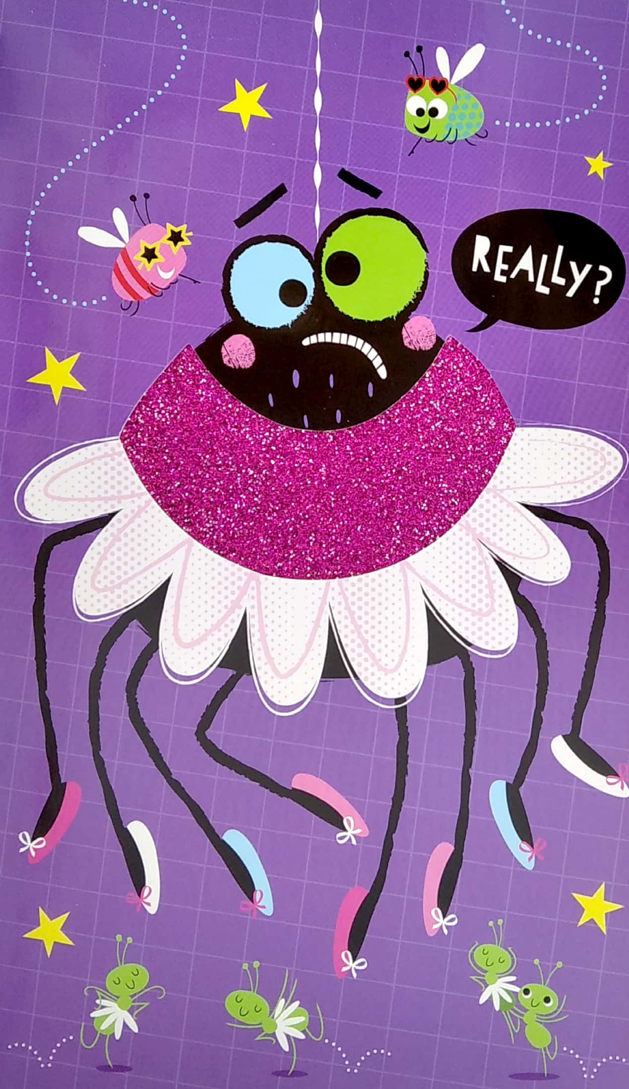 the not-so-scary hairy spider - Ảnh 5