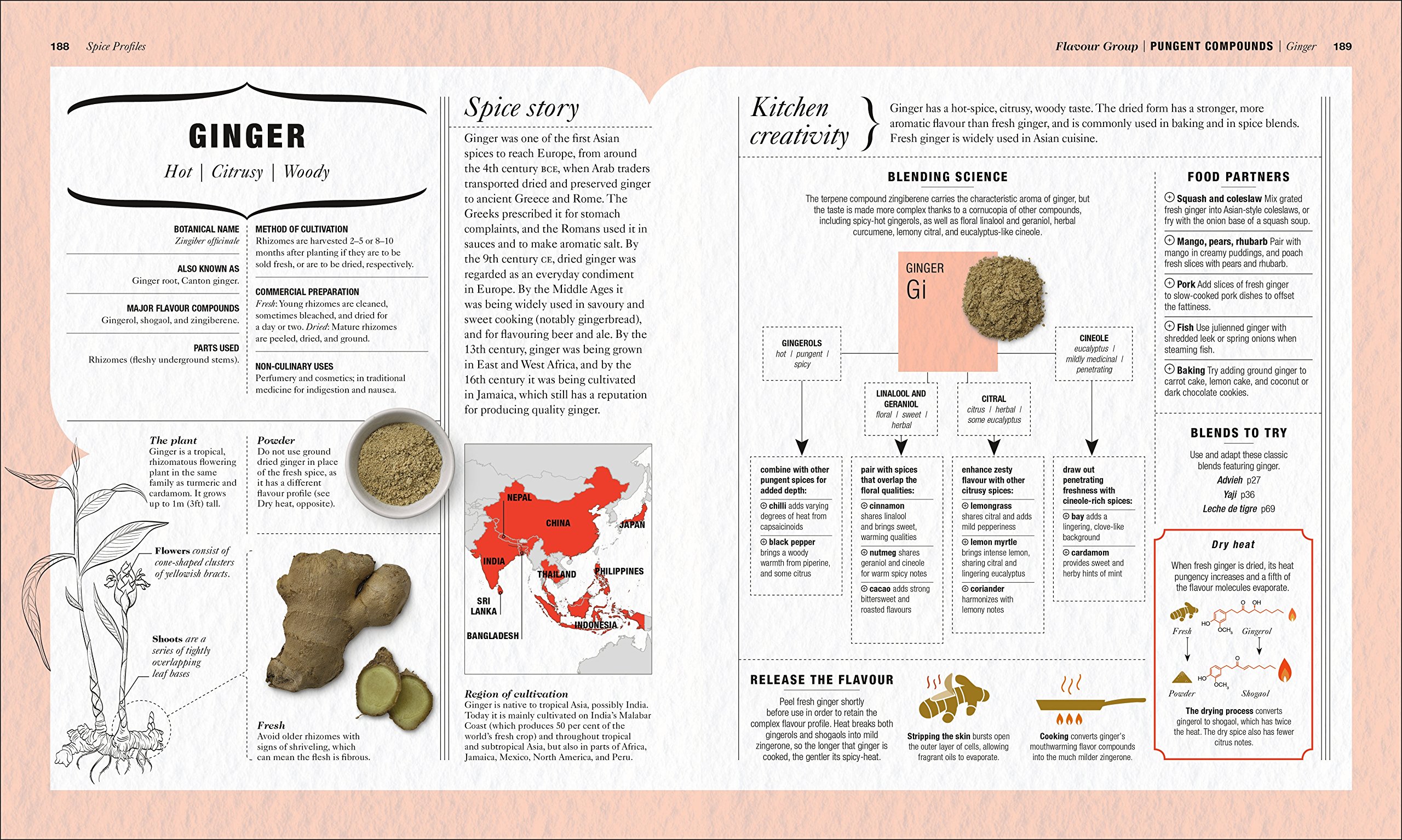 the science of spice: understand flavor connections and revolutionize your cooking - Ảnh 7