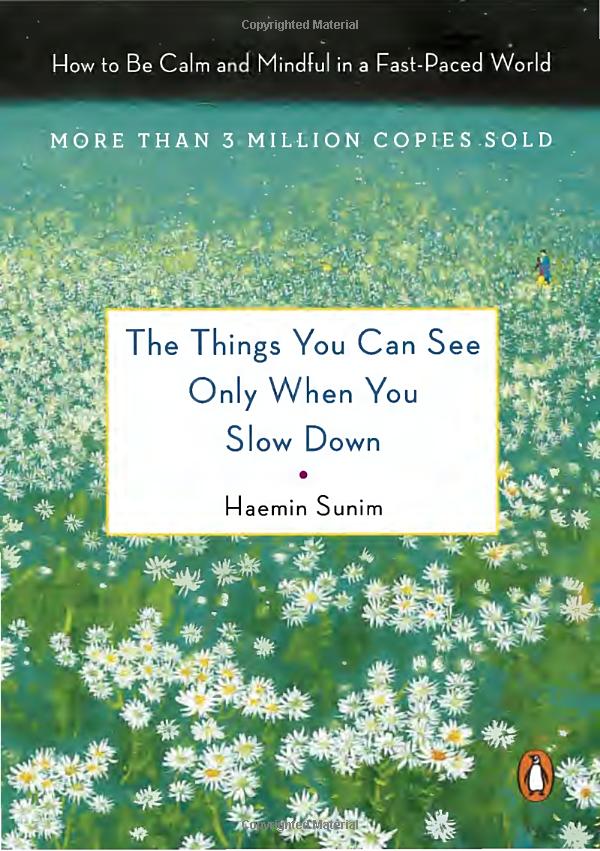 the things you can see only when you slow down - Ảnh 2