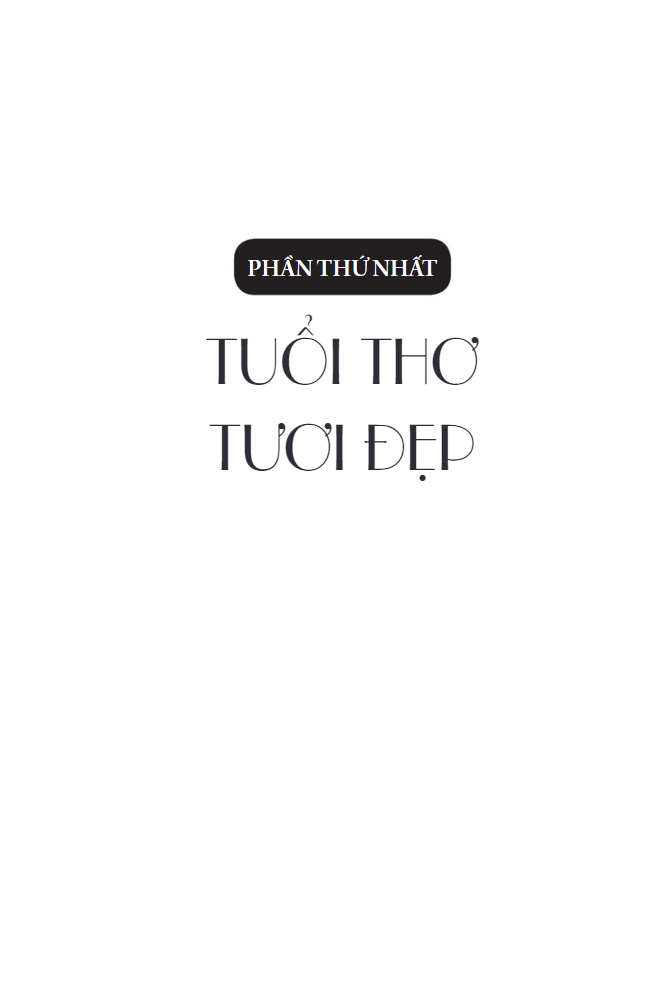 tiểu thuyết lịch sử - hồ xuân hương - Ảnh 7