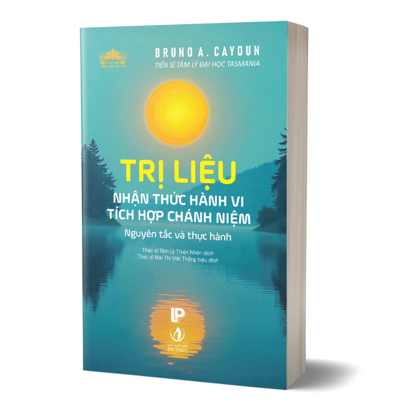 Trị Liệu Nhận Thức Hành Vi Tích Hợp Chánh Niệm - Nguyên Tắc Và Thực Hành - Ảnh 3