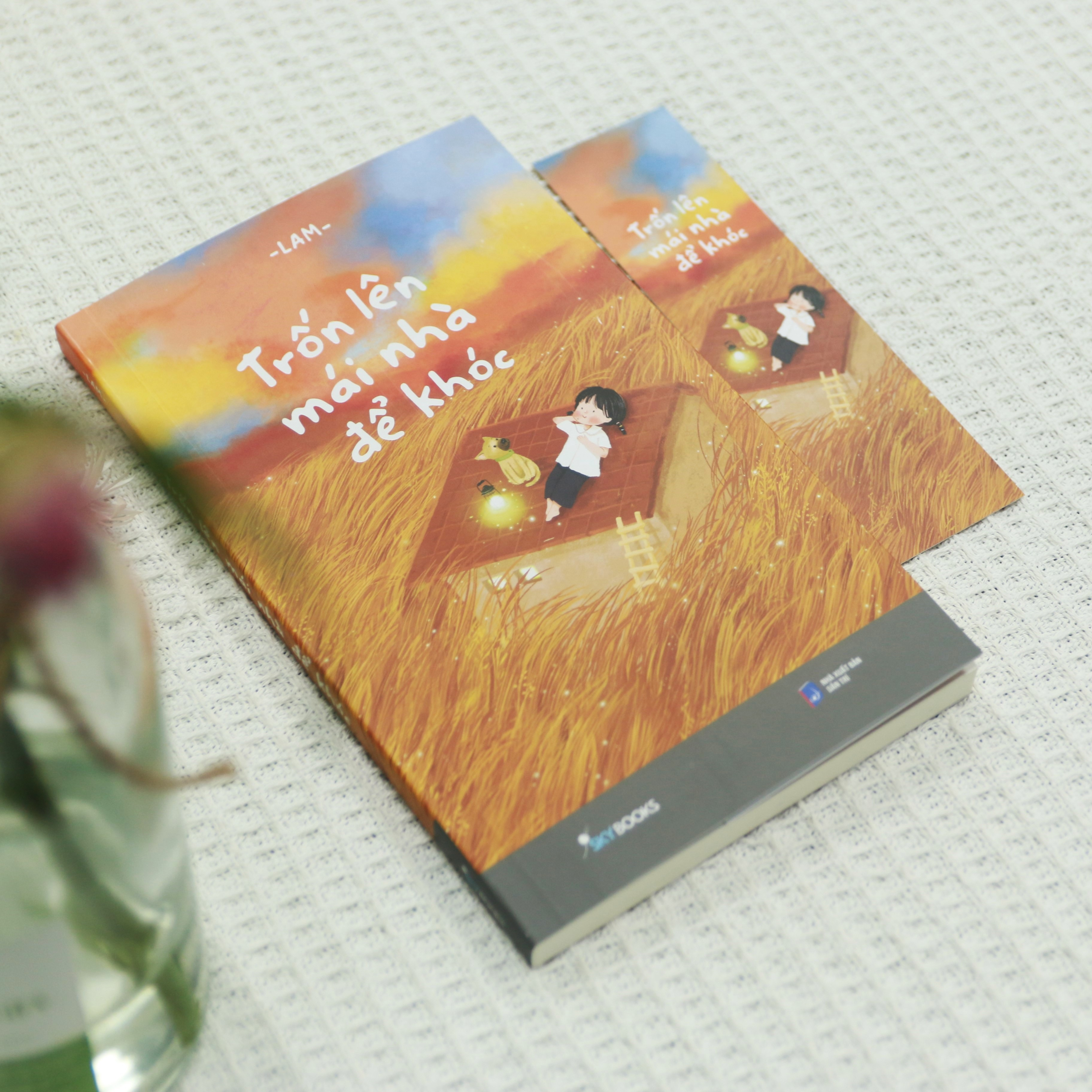 Trốn Lên Mái Nhà Để Khóc - Bản Chữ Ký - Ảnh 4