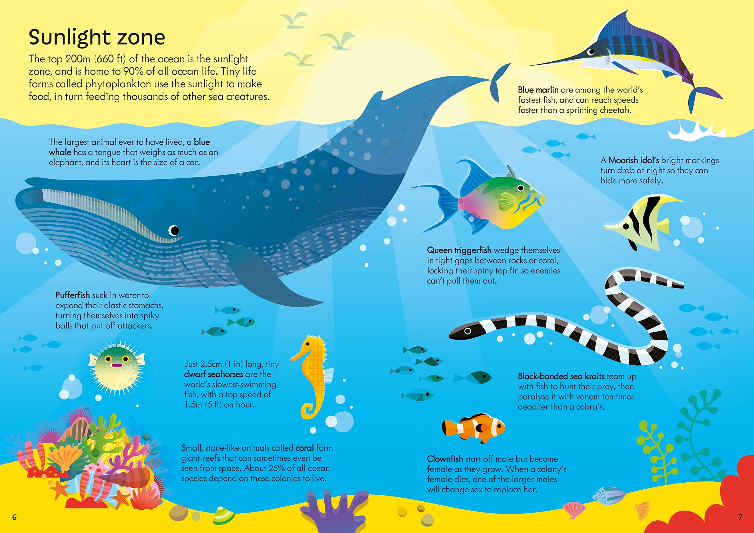 usborne book and jigsaw oceans - Ảnh 3