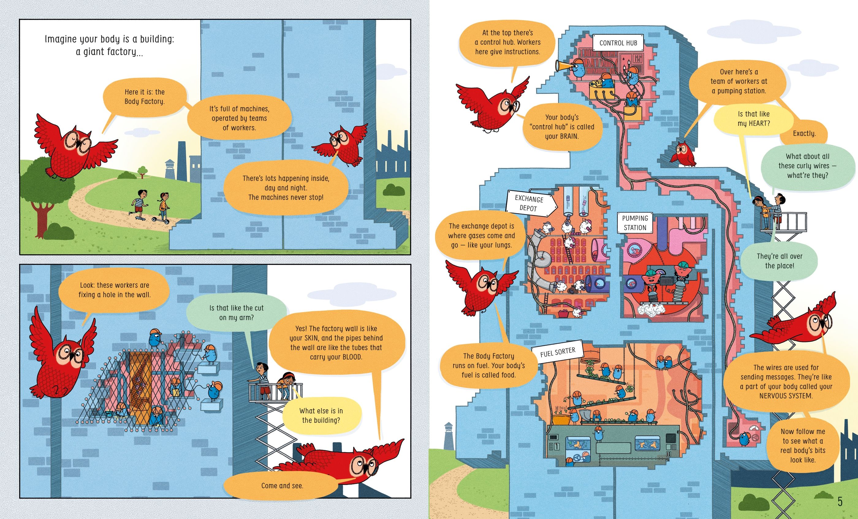 usborne book of the body and how it works - Ảnh 3
