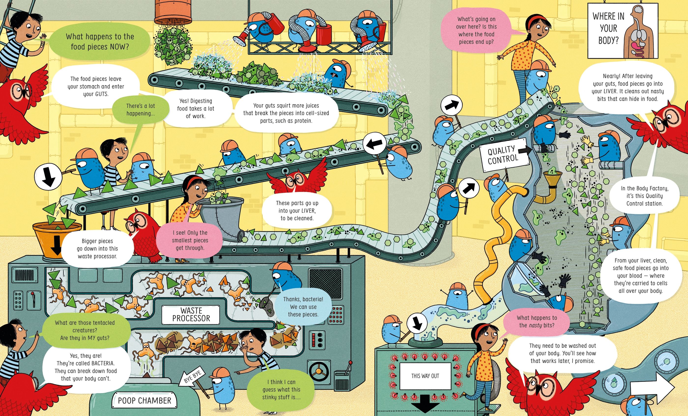 usborne book of the body and how it works - Ảnh 4