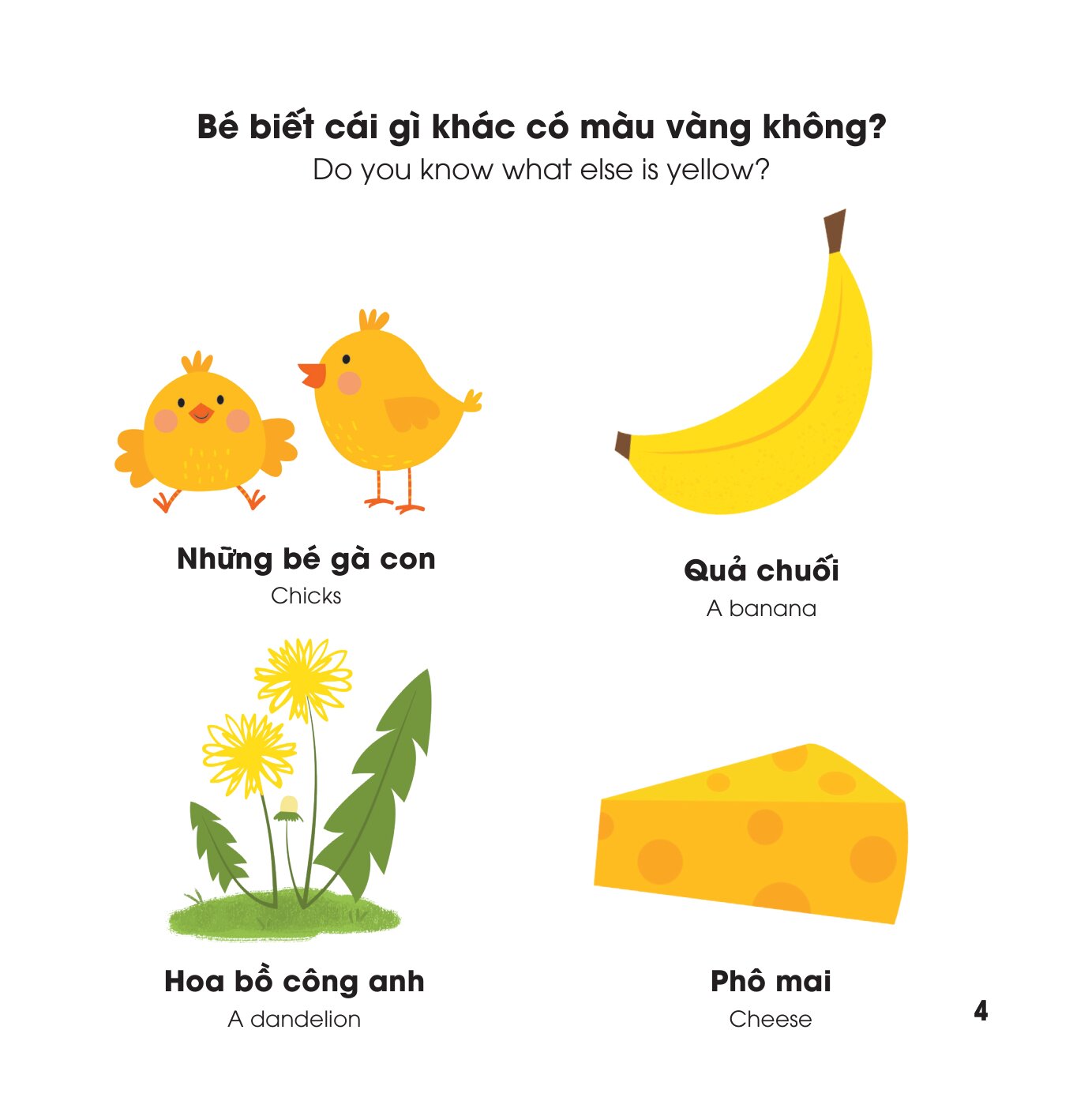 Vòng Xoay Khám Phá - Màu Sắc - Colours - Ảnh 4