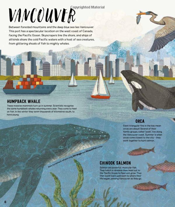wild city: meet the animals who share our city spaces - Ảnh 9