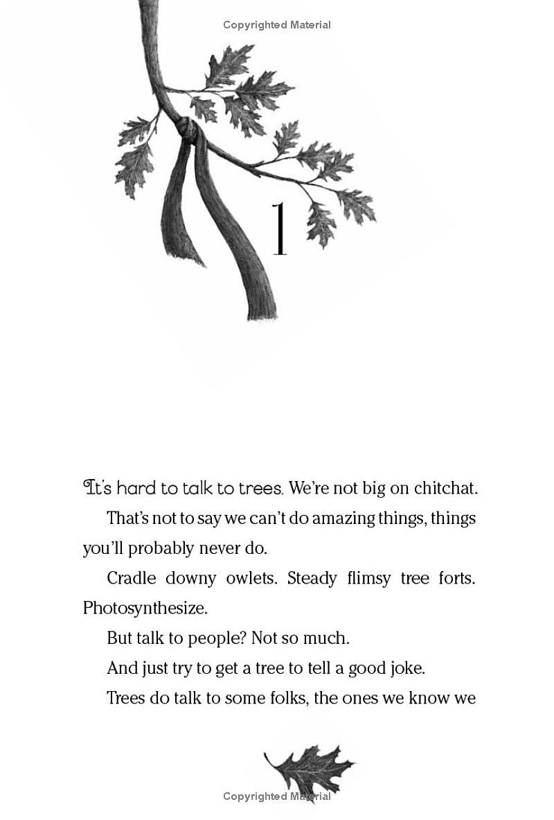 wishtree - Ảnh 5