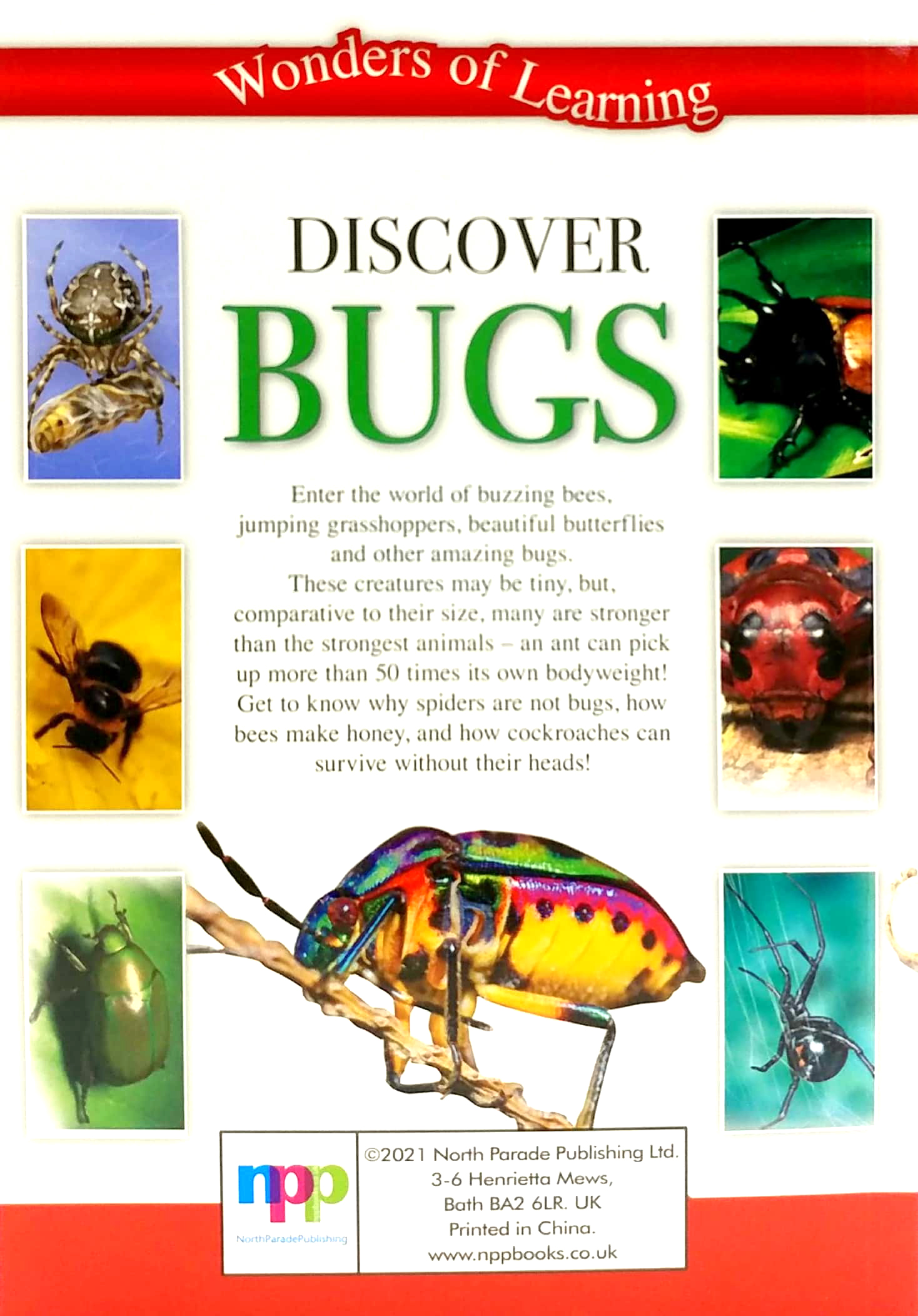 wonders of learning: discover bugs educational tin set - Ảnh 8