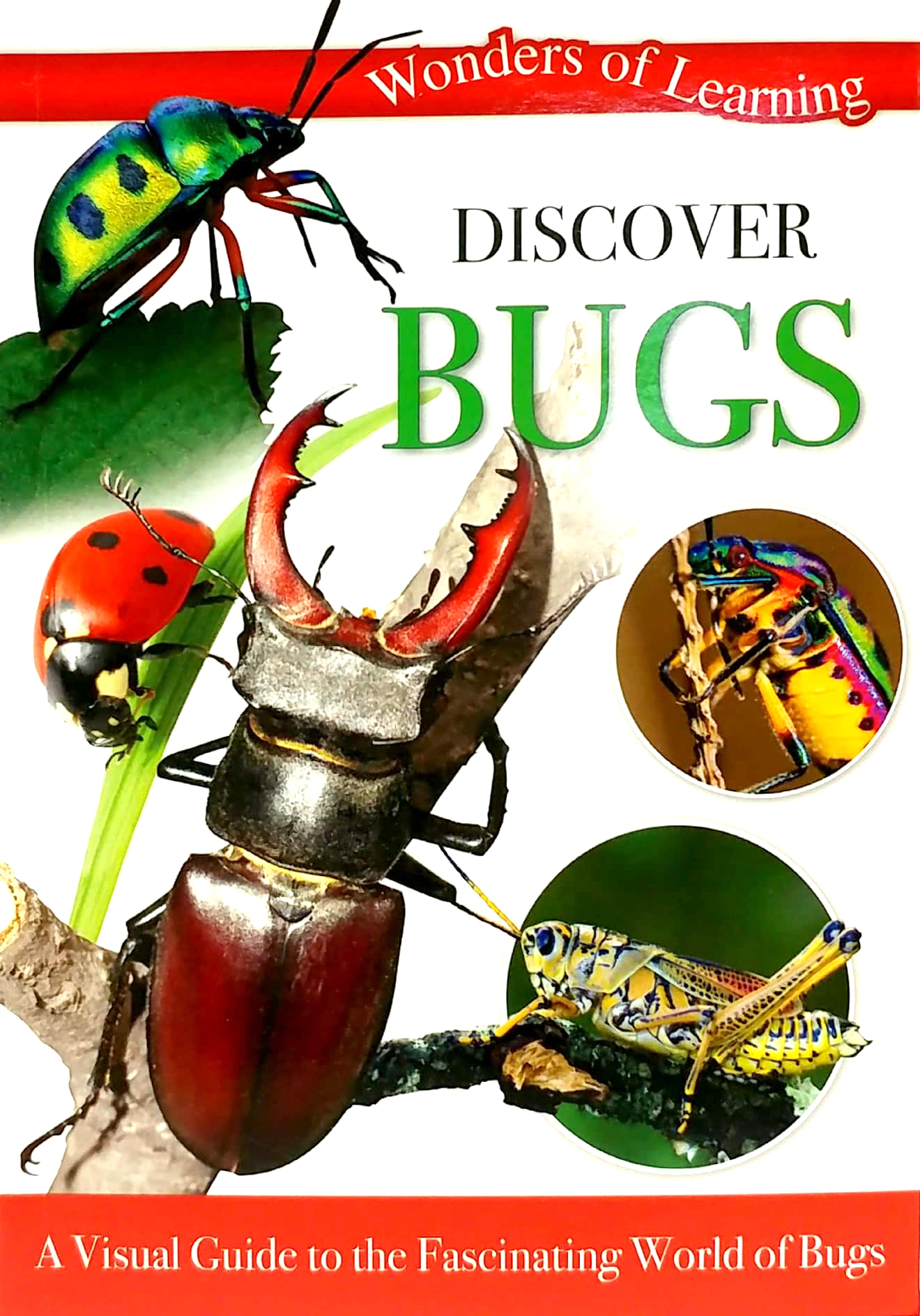 wonders of learning: discover bugs educational tin set - Ảnh 9